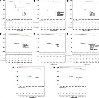 The Risk of Heart Disease-Related Death Among Anaplastic Astrocytoma Patients After Chemotherapy: A SEER Population-Based Analysis